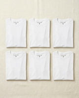 The Whiteout Six